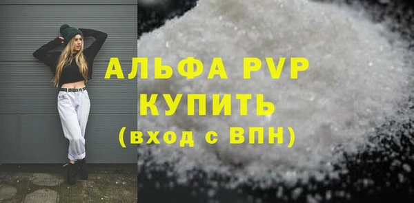 СК Каменногорск