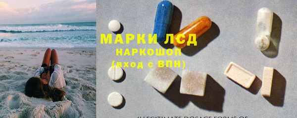 СК Каменногорск