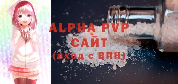 СК Каменногорск